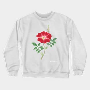 Red rose, painting flower, March to April (ca. 1870–1880) painting Crewneck Sweatshirt